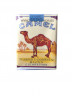 camel_nonfilters.jpg