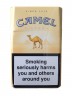 camel_filter8q.jpg